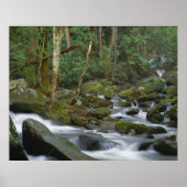 Cascade in Cosby Poster (Voorkant)