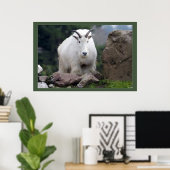 Cascade Mountain Goat Poster (Thuiskantoor)