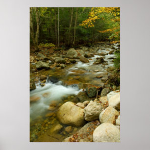 Cascade Mountain Print