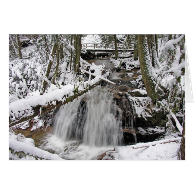 Cascade neigeuse (Devant horizontal)