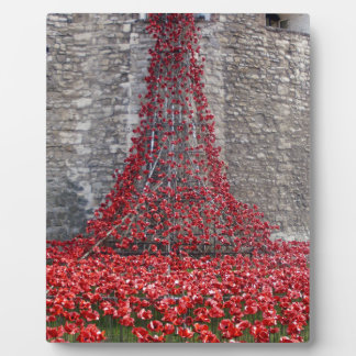 Cascade of Poppies - Tower of London Fotoplaat