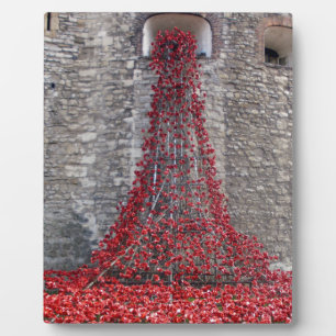 Cascade of Poppies - Tower of London Fotoplaat