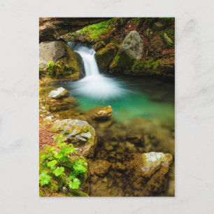 Cascade on Hare Creek, Californië Briefkaart