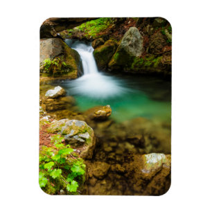 Cascade on Hare Creek, Californië Magneet