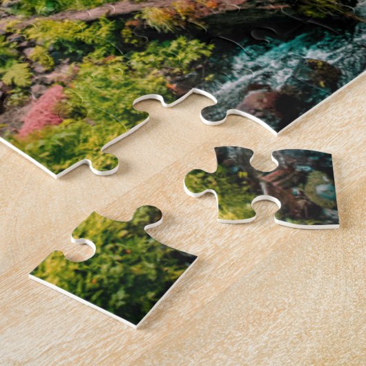 Cascade Pittoresque Puzzles Mountain Art Complex J (Côté)