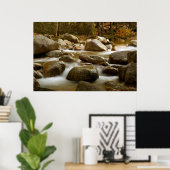 Cascade Print (Thuiskantoor)