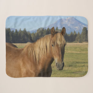 Cascade Range   Kastanjebruine Paard Sherpa Deken