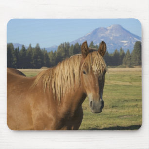Cascade Range Kastanjepaarden Muismat