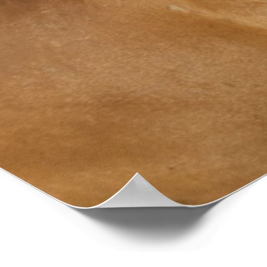 Cascade Range | Kastanjepaarden Poster (Hoek)