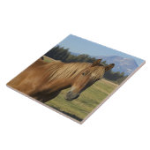 Cascade Range | Kastanjepaarden Tegeltje (Zijkant)