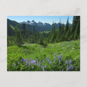 Cascade Range vanuit Mount Rainier National Park Briefkaart