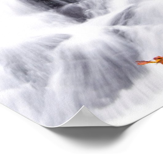 Cascade Rouken Glen, Glasgow, Ecosse Poster (Coin)