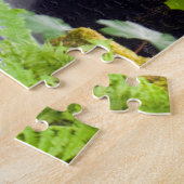 Cascade, Scotland Jigsaw puzzle (Côté)