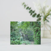 Cascade sur la route vers la carte postale Hana (Debout devant)