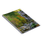 Cascades d'argent, Carnet Spiral NH (Côté Droit)