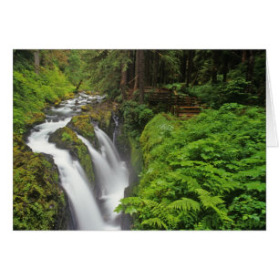 Cascades de Sol Duc dans le parc national Olympiqu