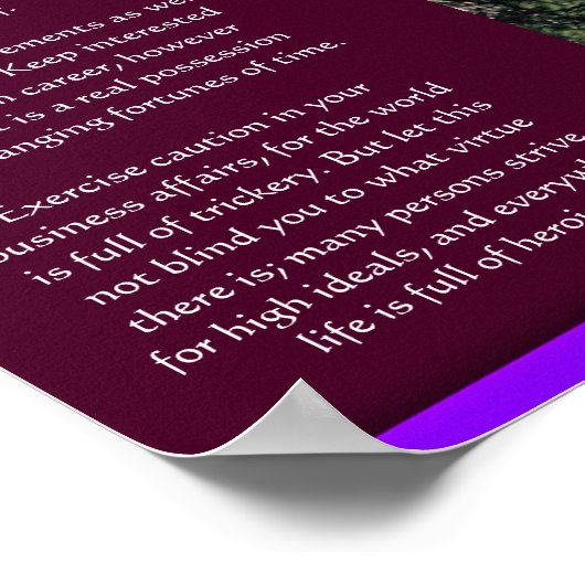 Cascades DESIDERATA Affiches 2 (Coin)