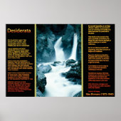 Cascades DESIDERATA Affiches orange 11 (Devant)