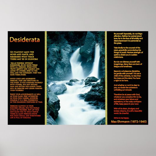 Cascades DESIDERATA Affiches orange 11 (Devant)