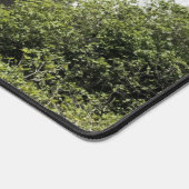 Cascades en Bosnie-Herzégovine sur une (Coin)