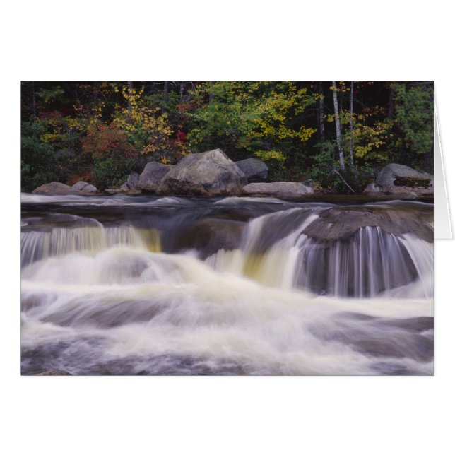 Cascades, Route Kancamagus, Blanc (Devant horizontal)