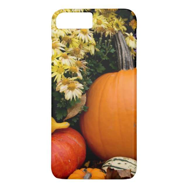 Case-Mate iPhone Case citrouille décoratif d'automne coloré (Dos)