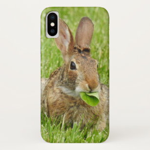 Case-Mate iPhone Case Feuilles mangeurs de lapin sauvage