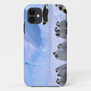 Case-Mate iPhone Case L'Antarctique, territoire antarctique australien,