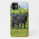 Case-Mate iPhone Case Vache d'Angus noir et veau mou en pâturage d'été (Dos)