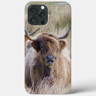 Case-Mate iPhone Case Vache écossaise des Highlands