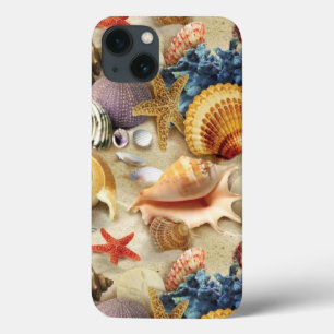 Coques de mer sur la plage