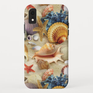 Coques de mer sur la plage