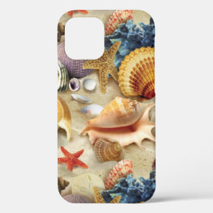 Coques de mer sur la plage