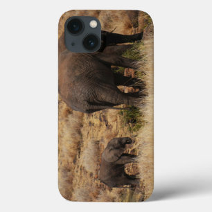 Eléphants sauvages avec Baby iPad Air coques