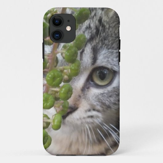 Case-Mate Pour iPhone Masquer Kitten EYE-Phone 5 Coque (Dos)