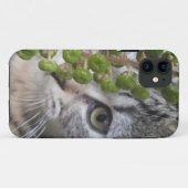 Case-Mate Pour iPhone Masquer Kitten EYE-Phone 5 Coque (Dos (Horizontal))