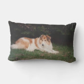 Casey collie kussen (Achterkant)