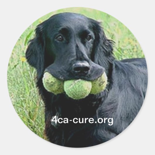 Casey Sticker (Voorkant)