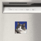 Casey Wit Grijs Kat Magneet (Insitu (Vaatwasser))