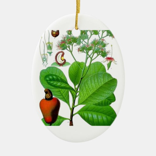 Cashew Keramisch Ornament (Voorkant)