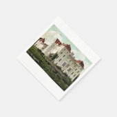 Caskieben Castle/Keith Hall, Clan Keith Servetten (Hoek)