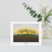 Caspar David Friedrich #137 - Carte postale d'art (Debout devant)