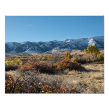 Casper Mountain Seasons - Herfst gebladerte - Casp