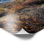 Casper Mountain Seasons - Herfst gebladerte - Casp Foto Afdruk (Hoek)