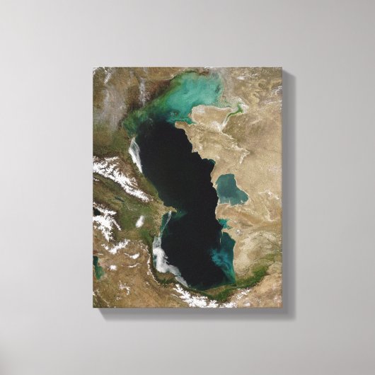 Caspiaans Zee Canvas Afdruk (Voorkant)