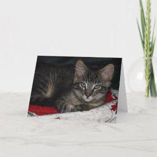 Caspian Christmas Blank Wenskaart Feestdagen Kaart