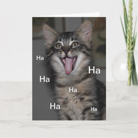 Caspian Kitten Hospital Obtenez bientôt une carte (Devant)