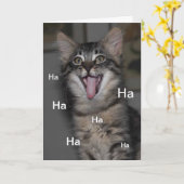 Caspian Kitten Hospital Obtenez bientôt une carte (Fleur jaune)