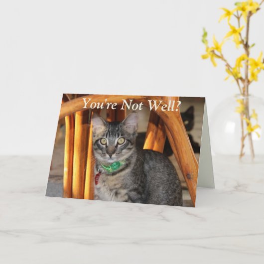 Caspian wordt snel beter Kaart (Gele Bloem)