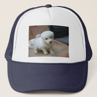 Casquette